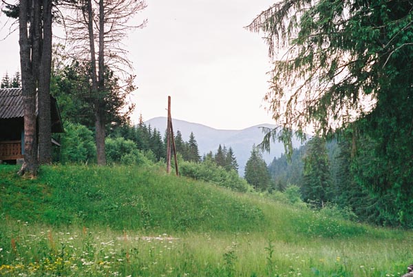 F1000004