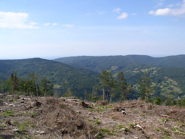 P8276653