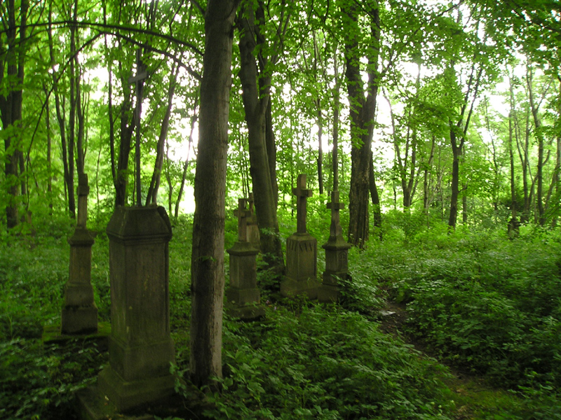 Wyprawa do Królika (30)