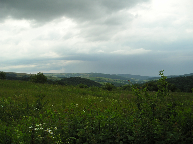 Wyprawa do Królika (54)