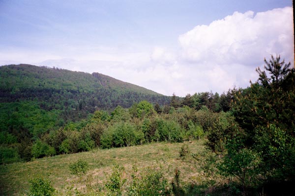 NE541C~1