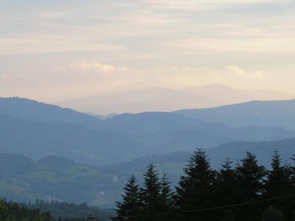 BABIA