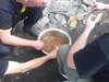 tar_0281